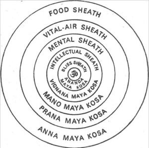 5 Koshas